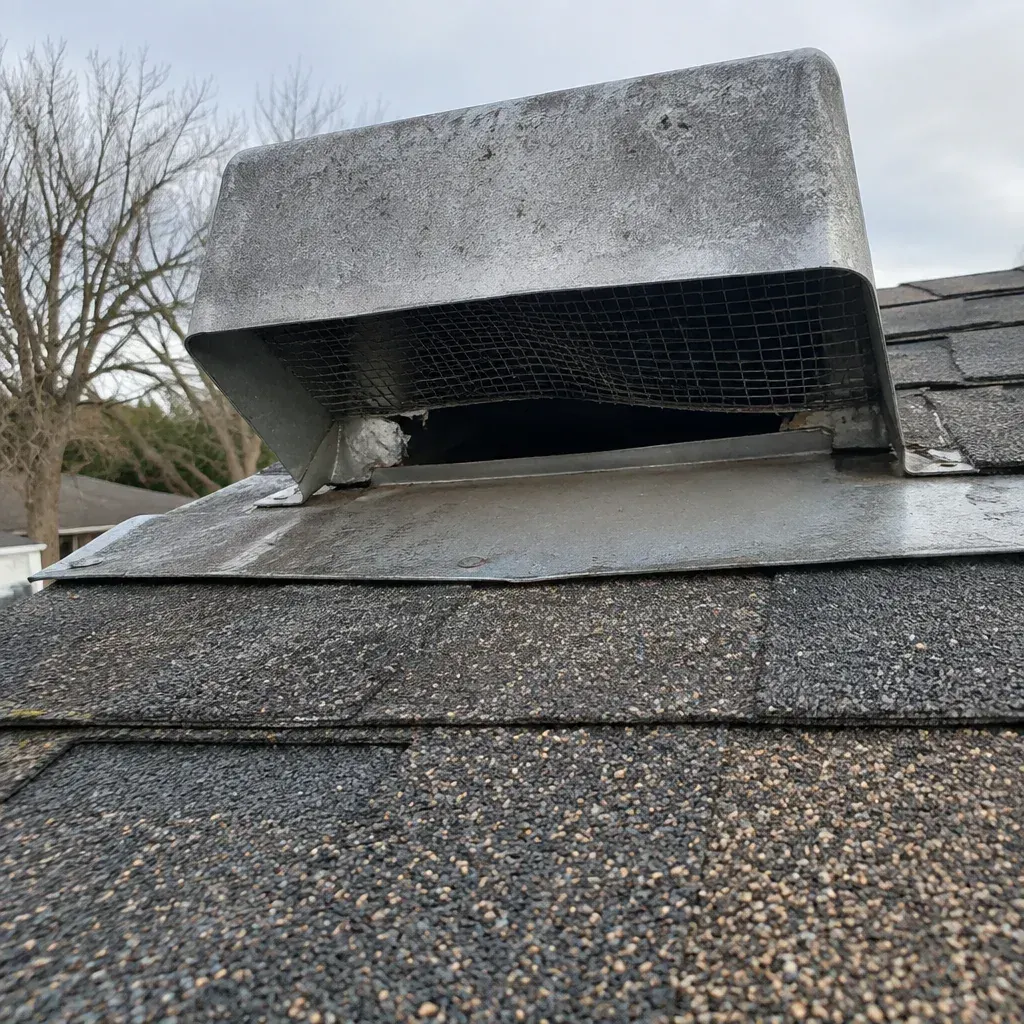 Rodent Trapping service in South Bend, IN