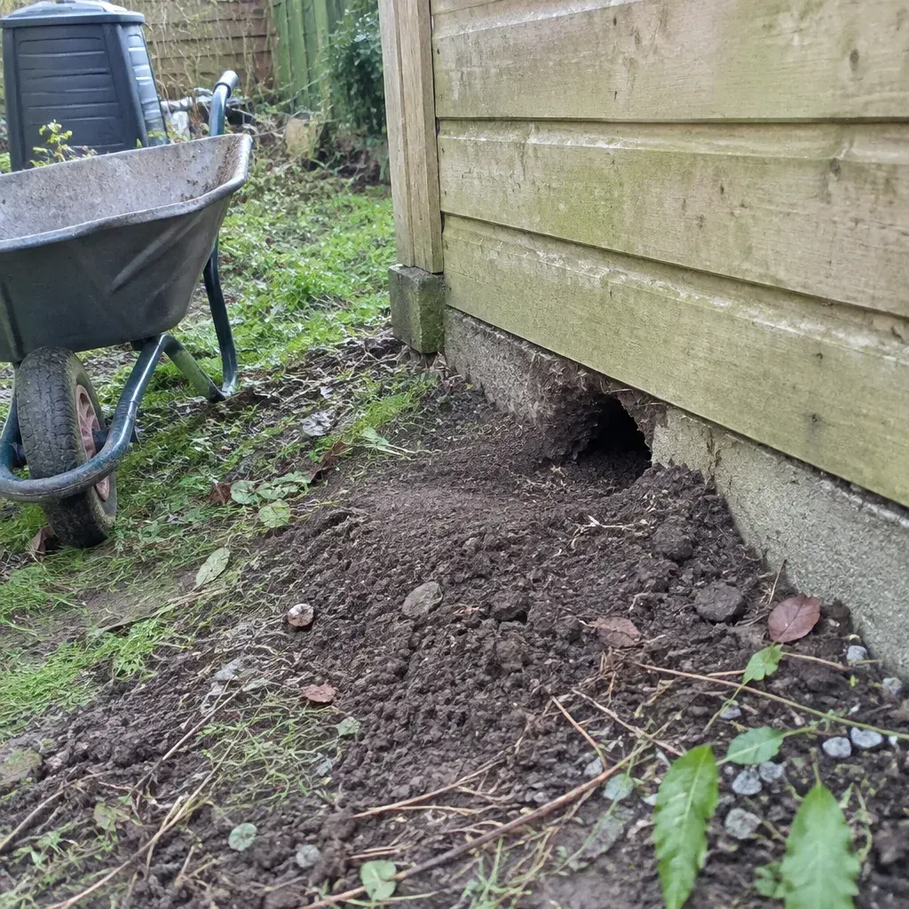 Rat Control service in South Bend, IN