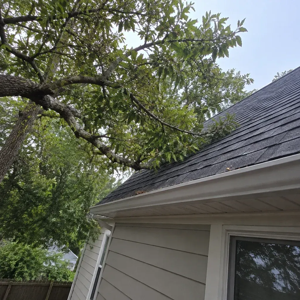 South Bend Shed Rodent Control and Prevention
