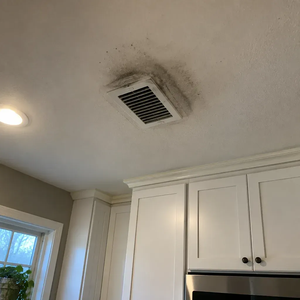 Rodent Noises rodent control service in South Bend, IN